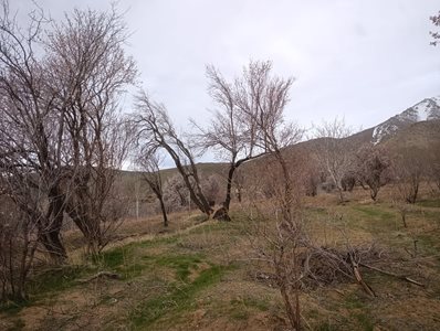 همدان-روستای-سلولان-522634