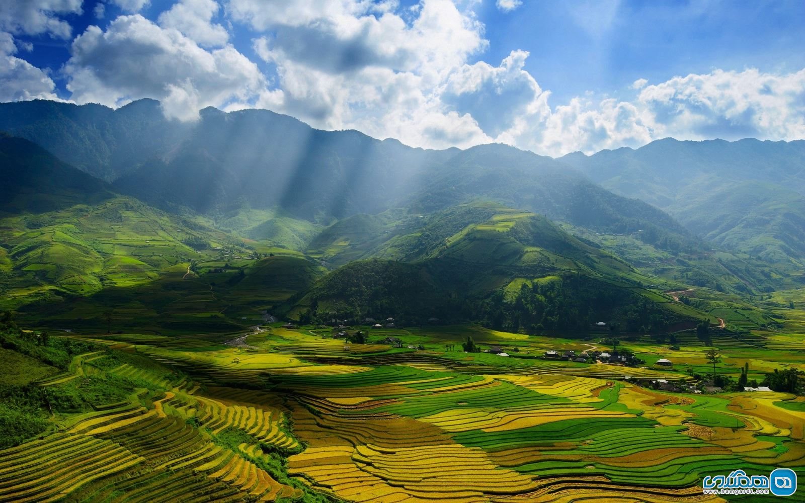 شالیزارهای ساپا (Terraces Sapa )