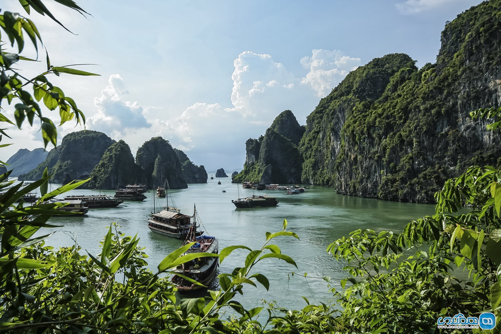 خلیج هالونگ ( Ha Long Bay )2