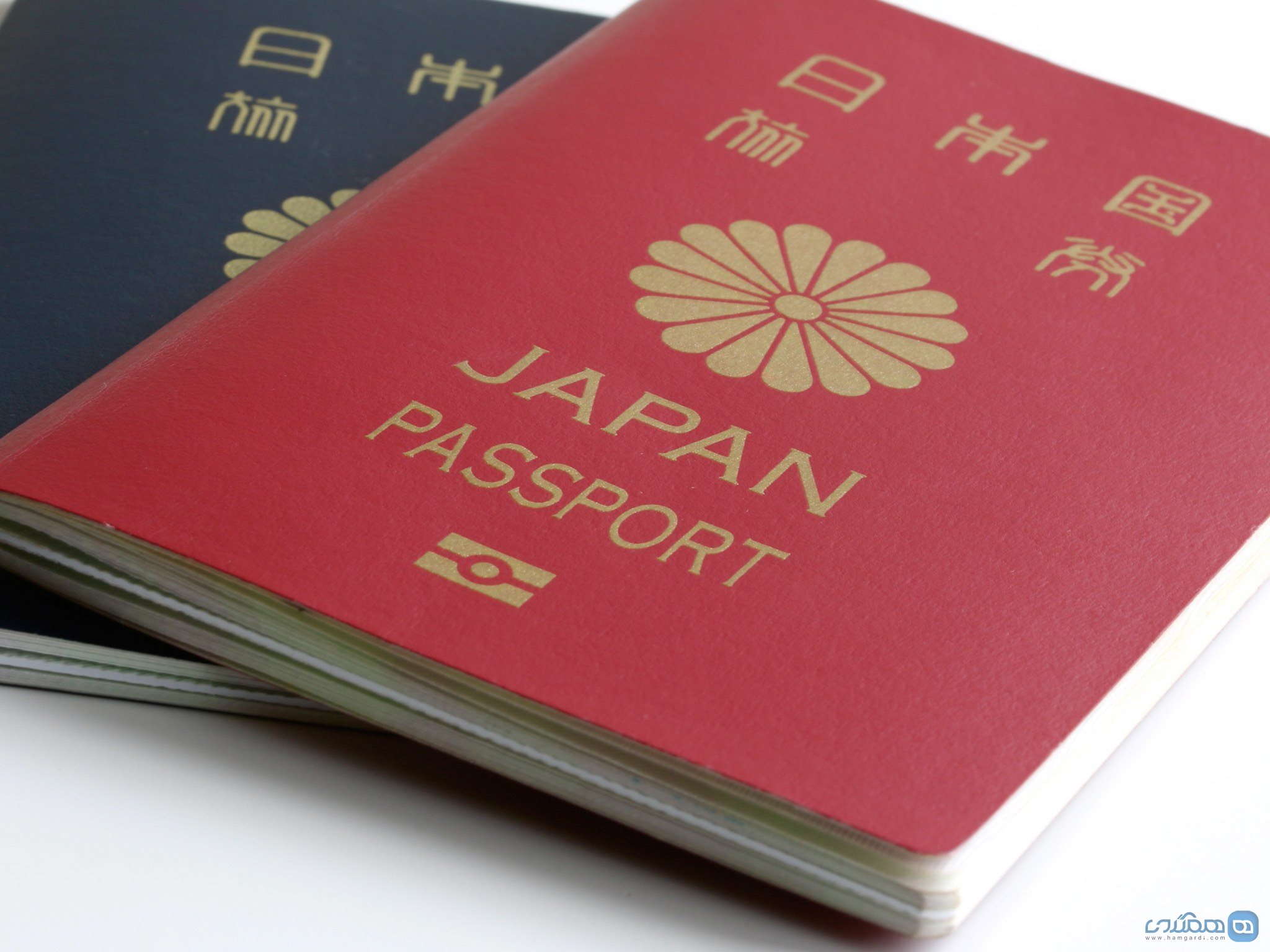 تفاوت پاسپورت ها