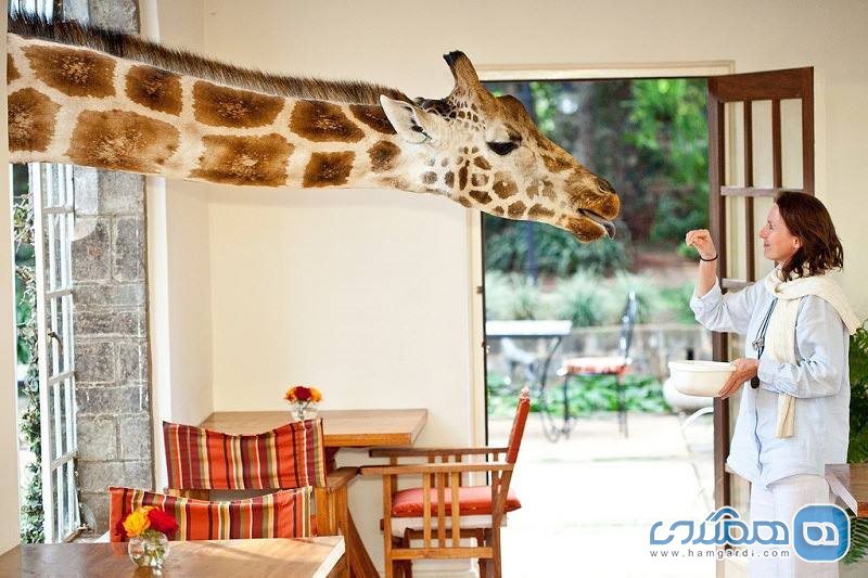 هتل زرافه ها | giraffe manor2