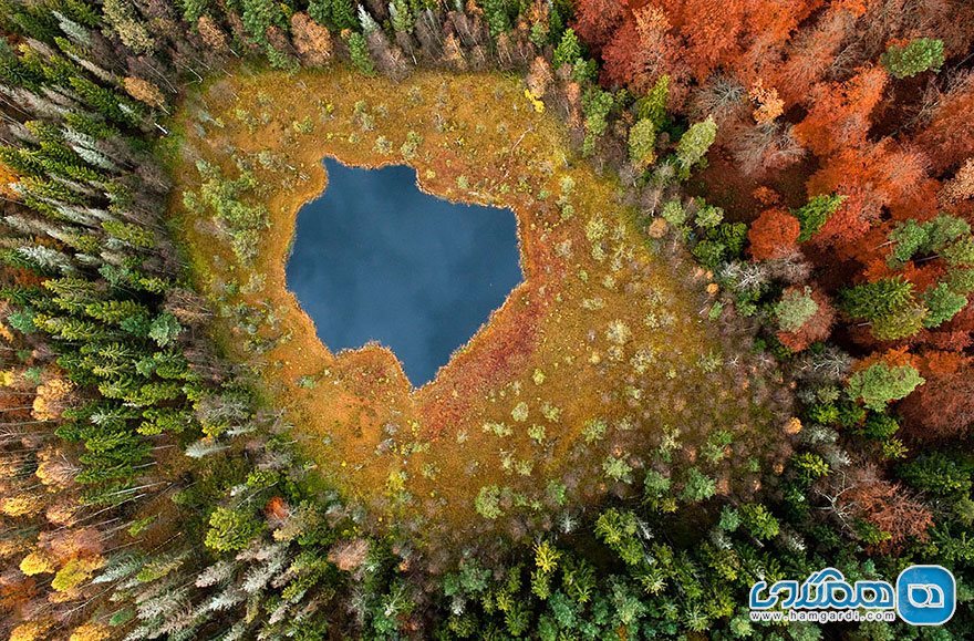  دریاچه جنگلی در لهستان دیدنی
