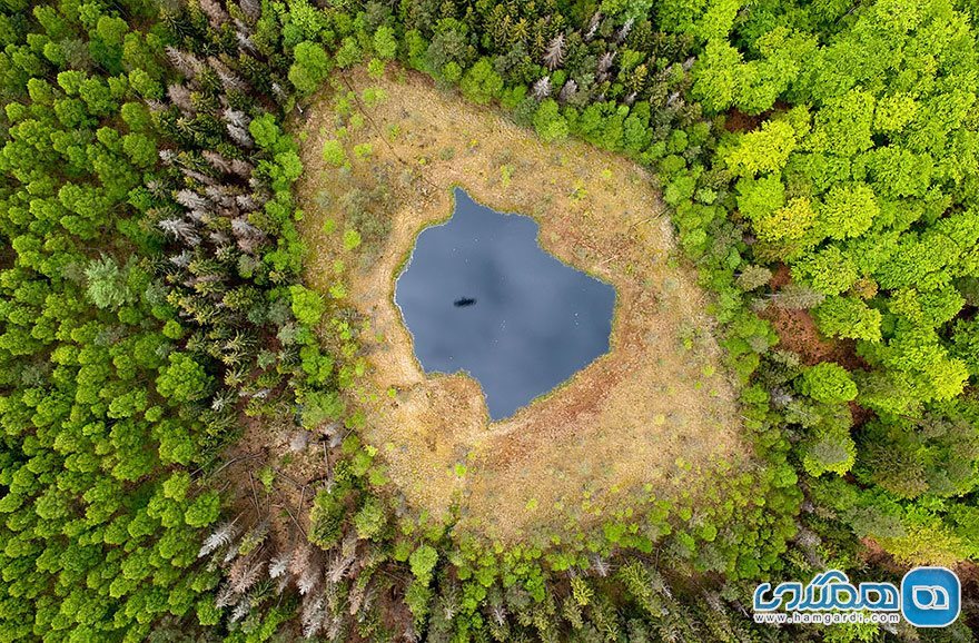  دریاچه جنگلی در لهستان