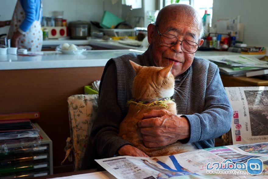 گربه - پیرمرد
