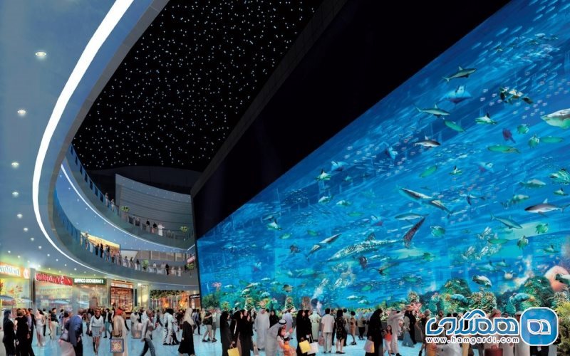 Dubai Aquarium5