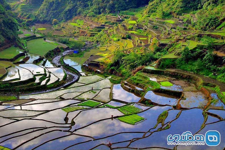  Banaue