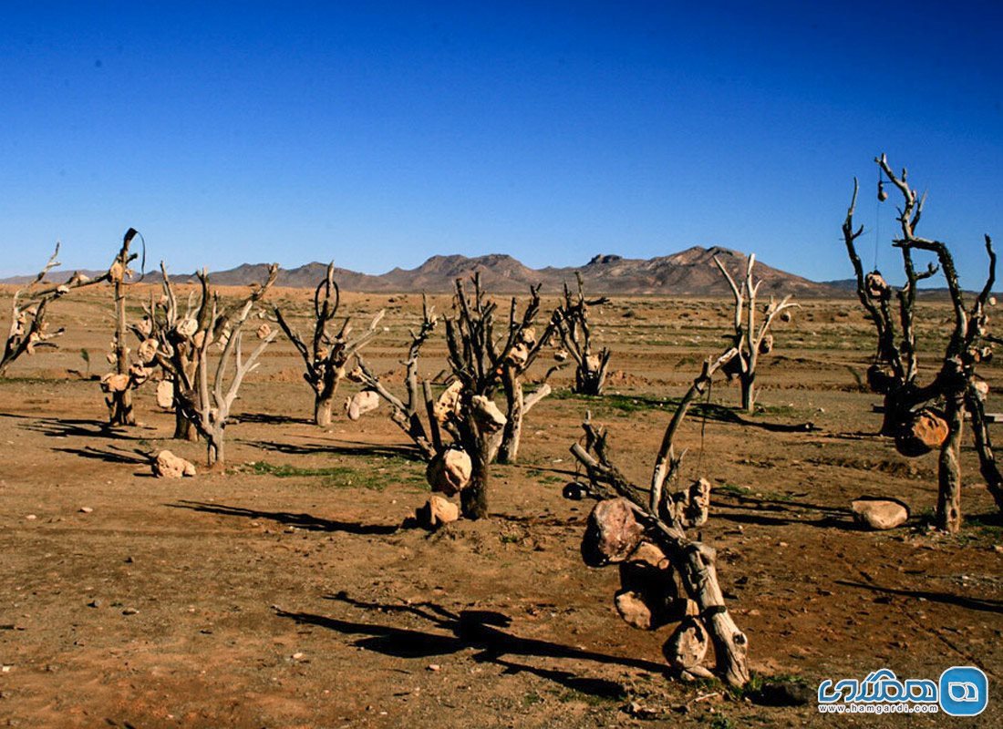 جغرافیا و مسیر دستیابی به باغ