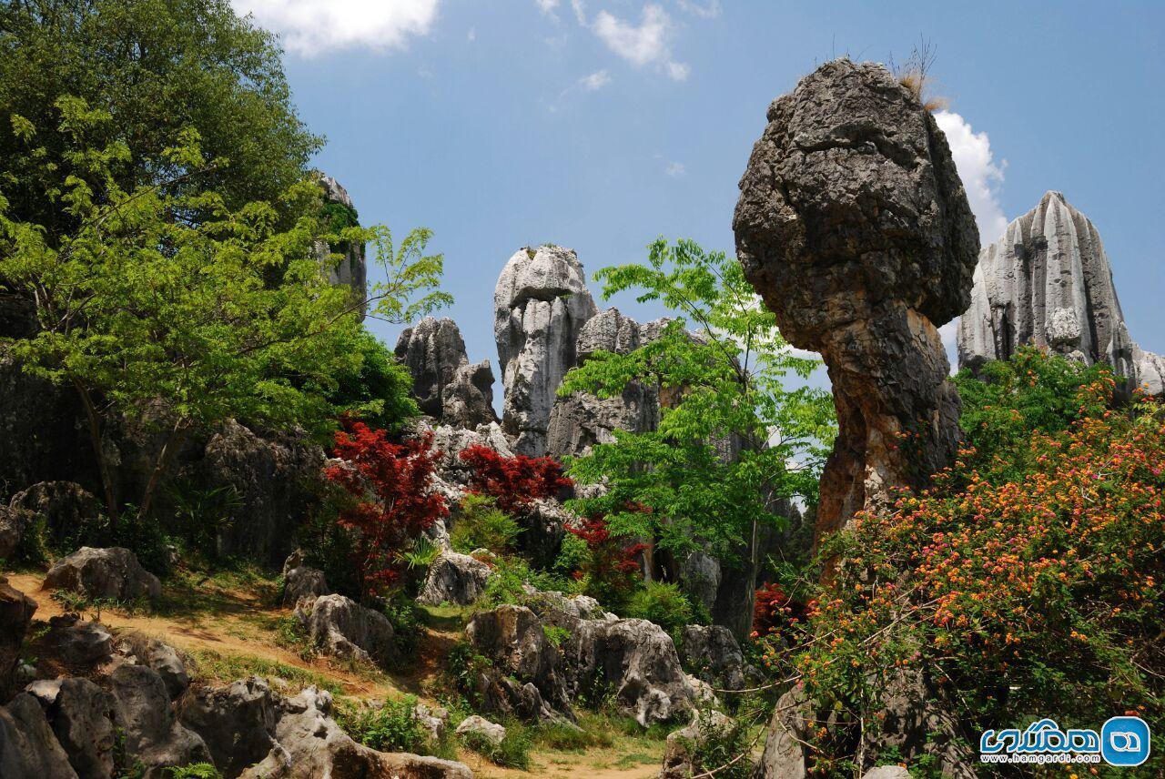 جنگل شیلین ، جنگلی با درختانی از سنگ (Stone Forest)