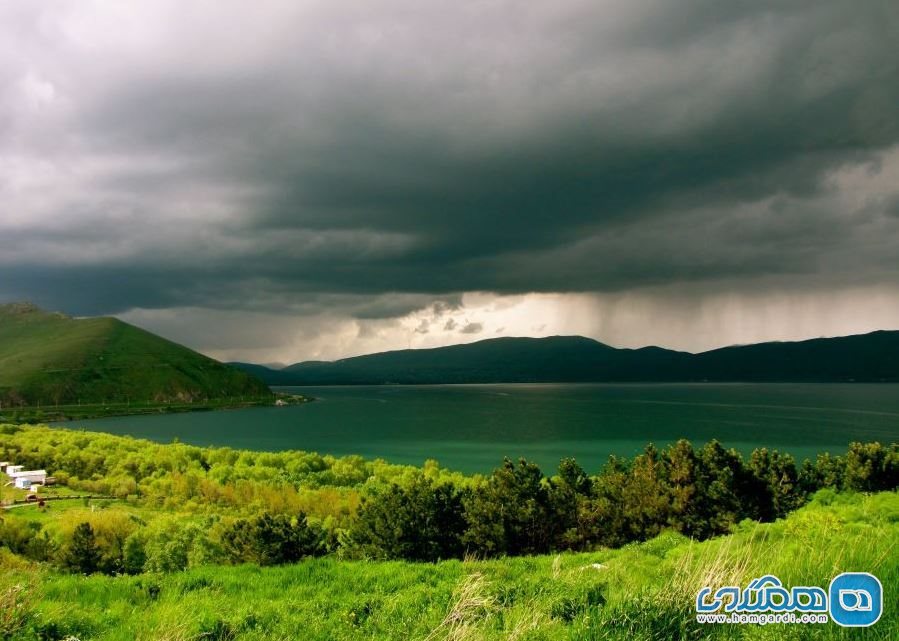 پوشش گیاهی و جانوری دریاچه سوان