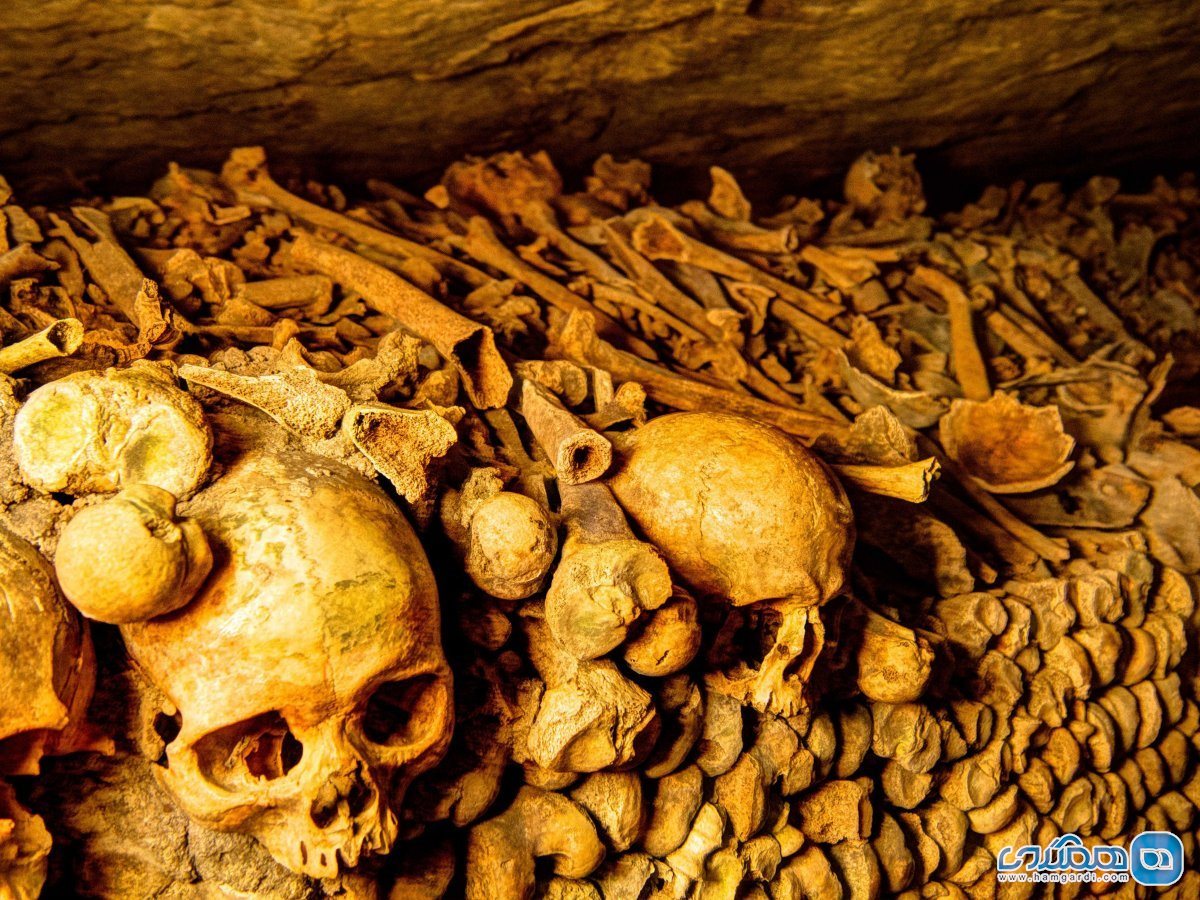 Catacombs of Paris