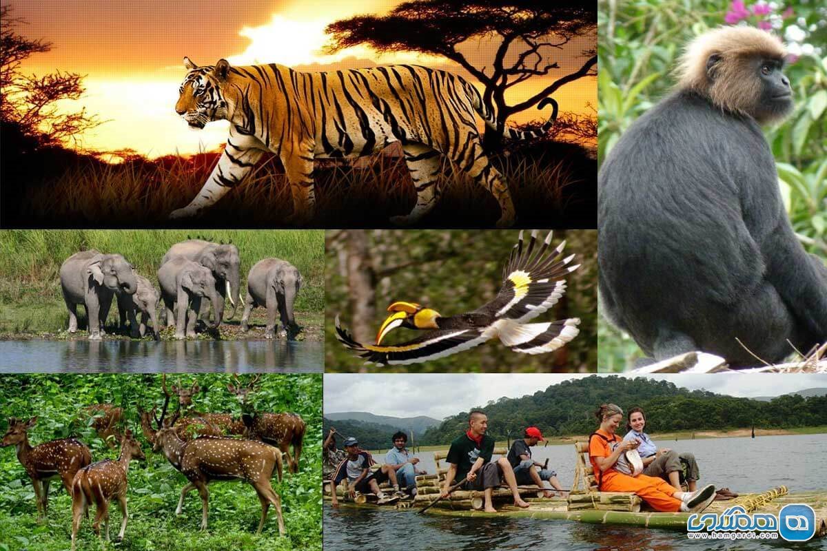 منطقه حفاظت شده و پارک ملی Periyar National Park and Wildlife Sanctuary، مادورای