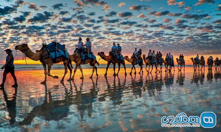 ساحل کیبل در استرالیا