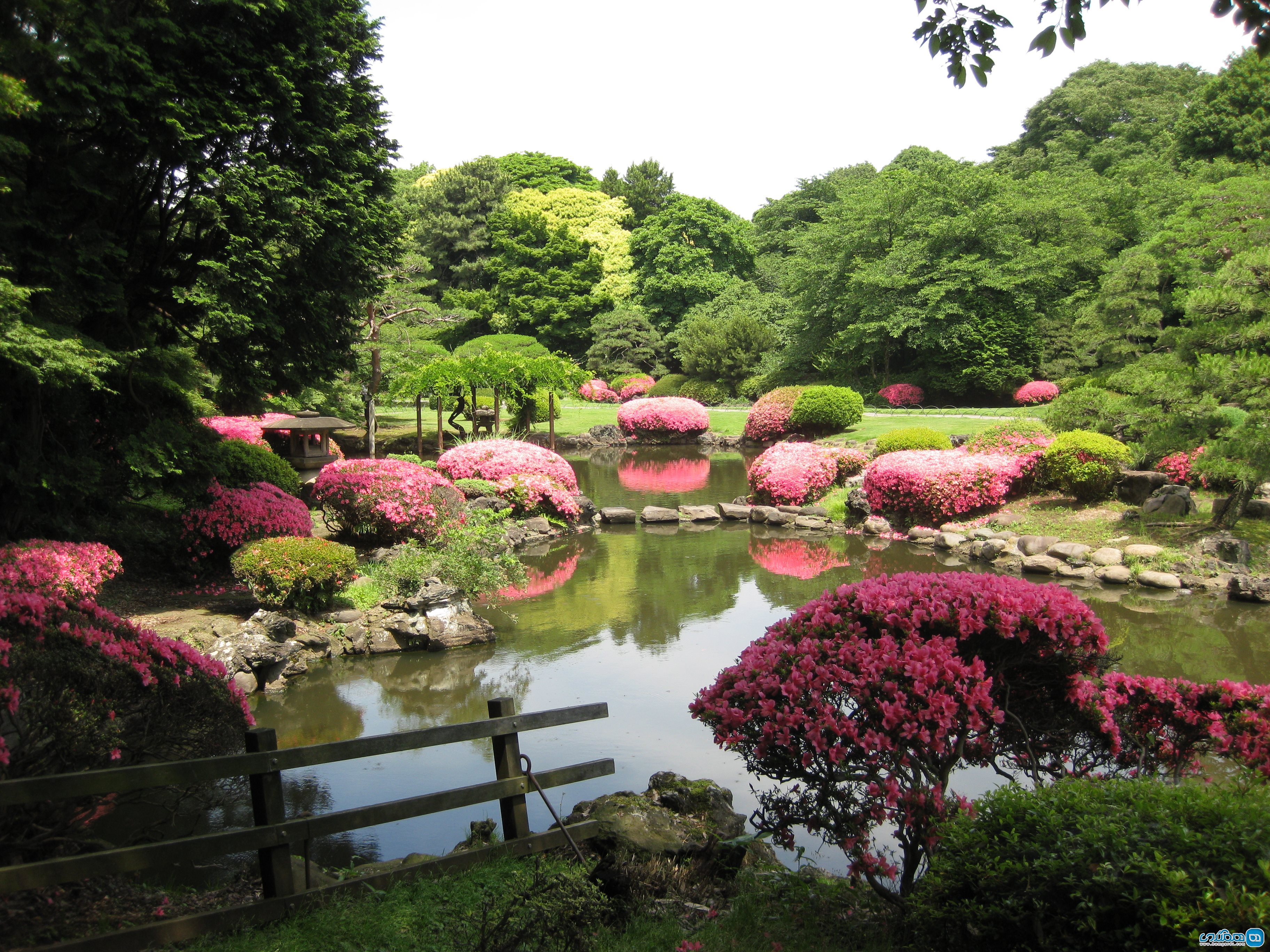 باغ ملی Shinjuku Gyoen National Garden