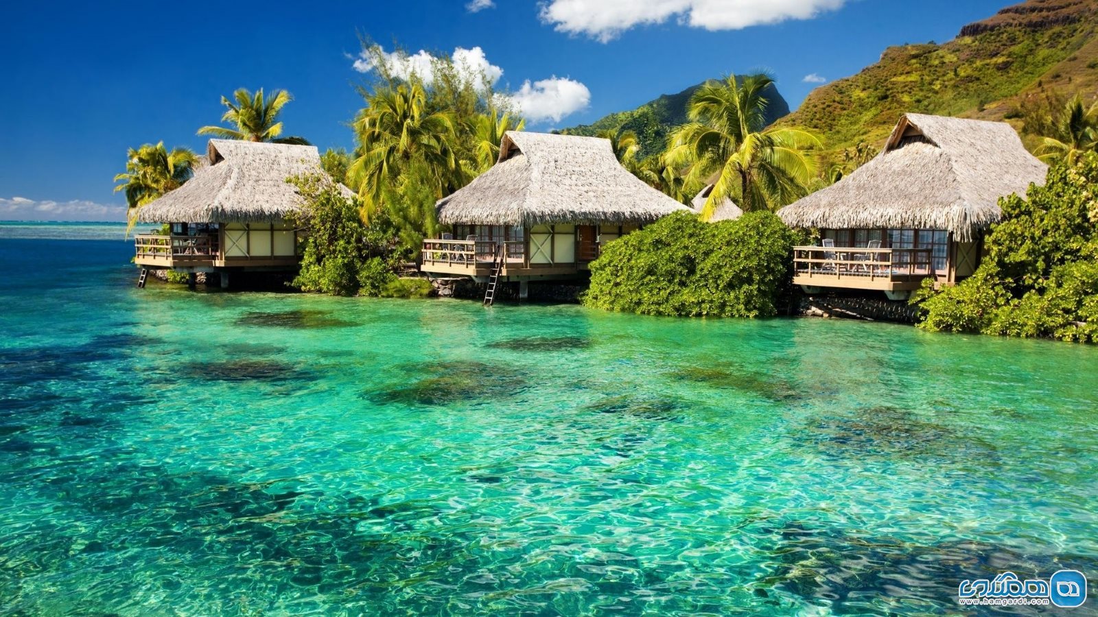 جاذبه های گردشگری برتر در جزیره ی پوکت