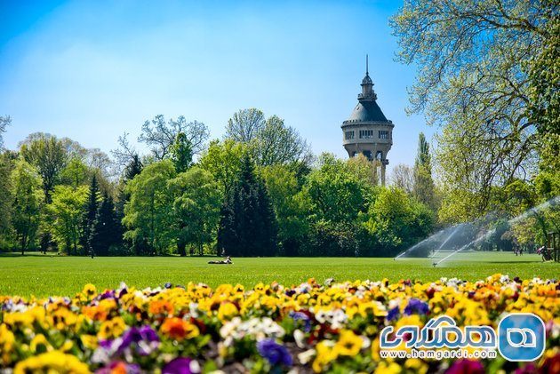 جزیره مارگارت جادویی