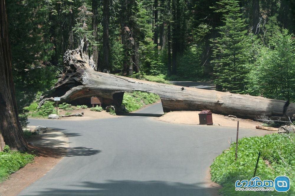 تونل لاگ Tunnel Log2