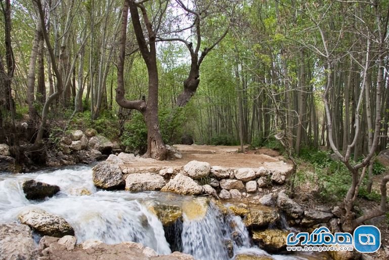 روستای ده چشمه