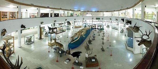 جاهای دیدنی تهران | موزه تاریخ طبیعی