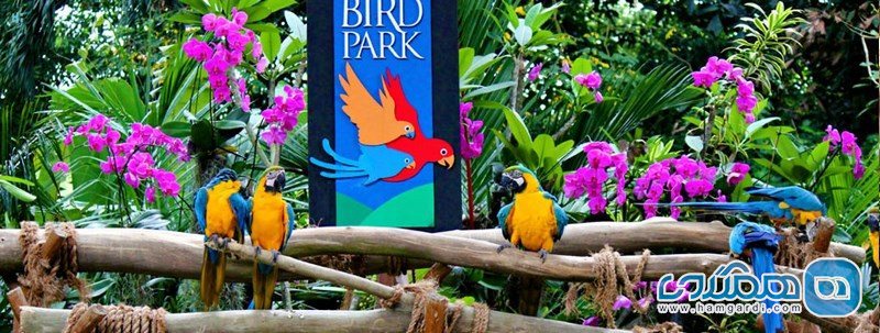 پارک پرندگان و خزندگان جزیره بالی