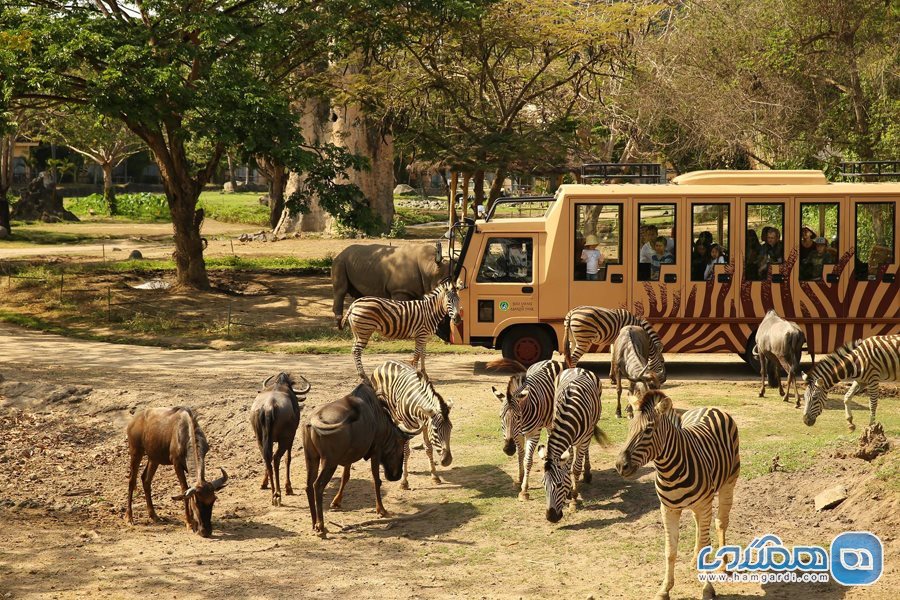 پارک حیوانات همراه با تور سافاری