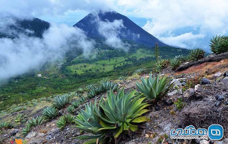 زبیعت بی نظیر السالوادور