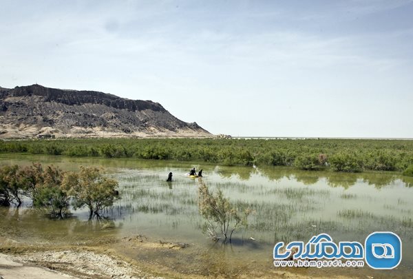 دریاچه هامون