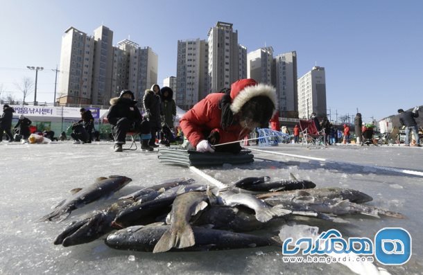 جشنواره ماهی گیری یخی