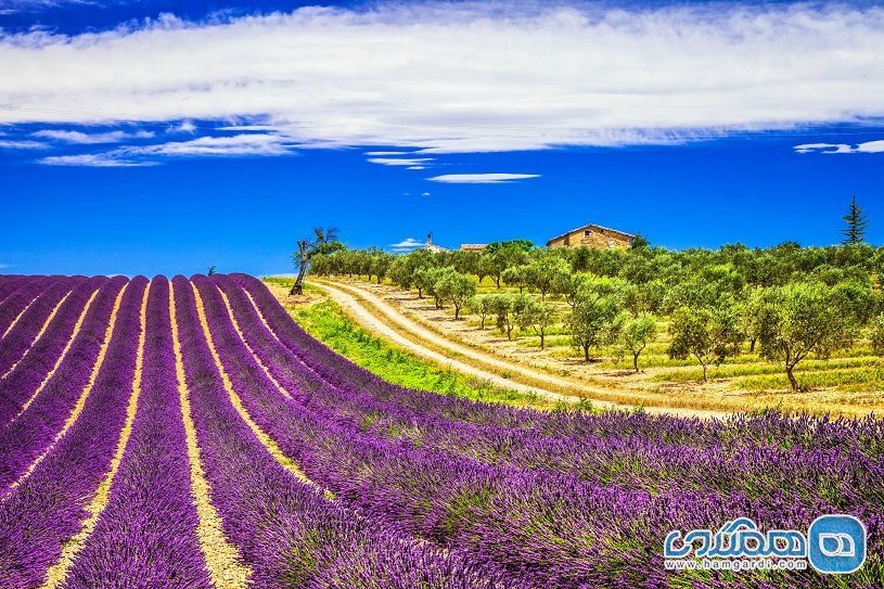 پراونس Provence