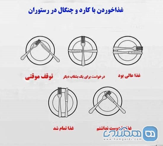 آداب جالب غذا خوردن در کشور های مختلف دنیا3