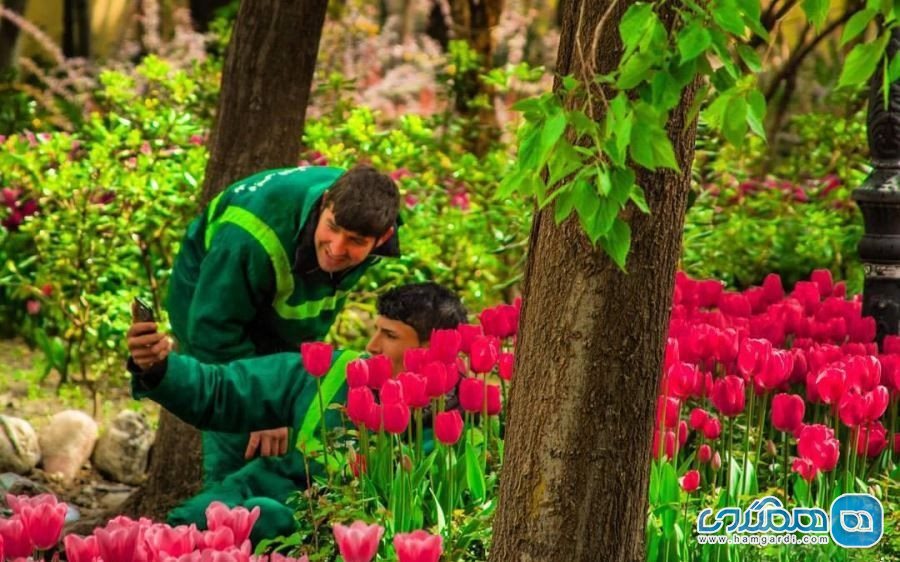 باغ گل ایران