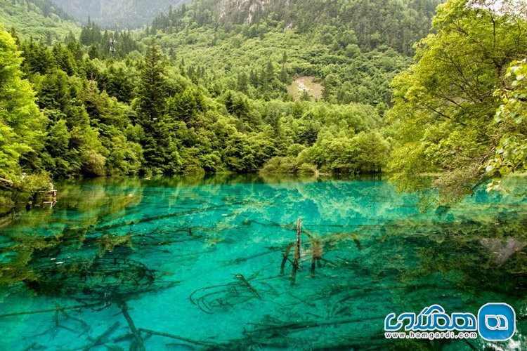 دریاچه ی پنج گل در چین