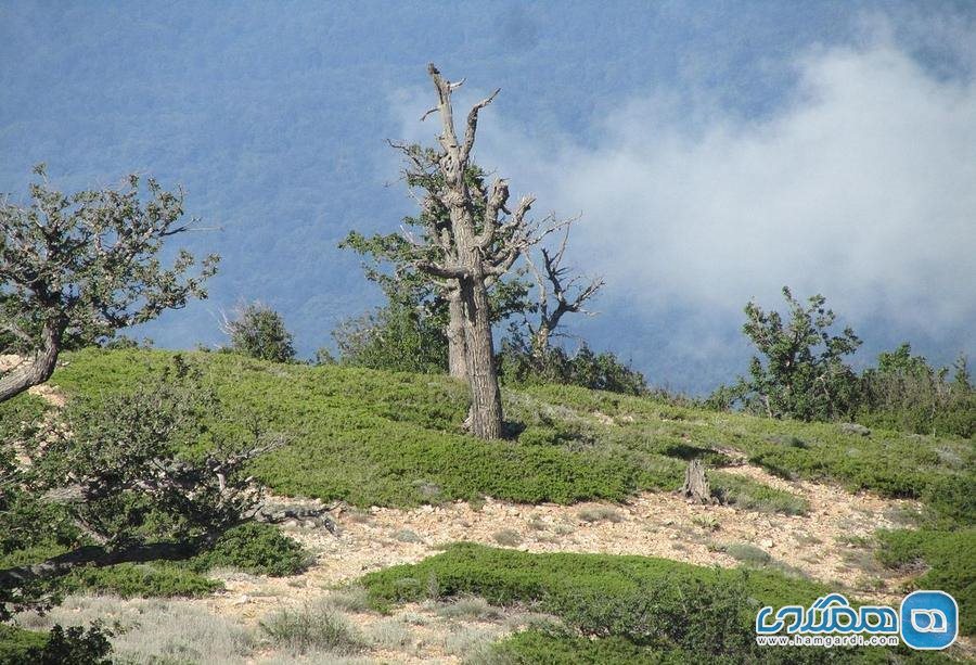 گلستان و دهکده ی زیبای جهان نما