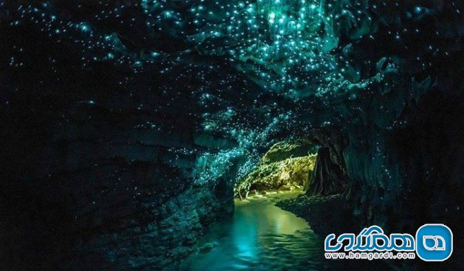 غارهای وایتومو در نیوزیلند / غارهایی با کرم های درخشنده
