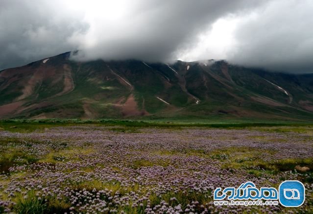 طبیعت شهرستان مراغه