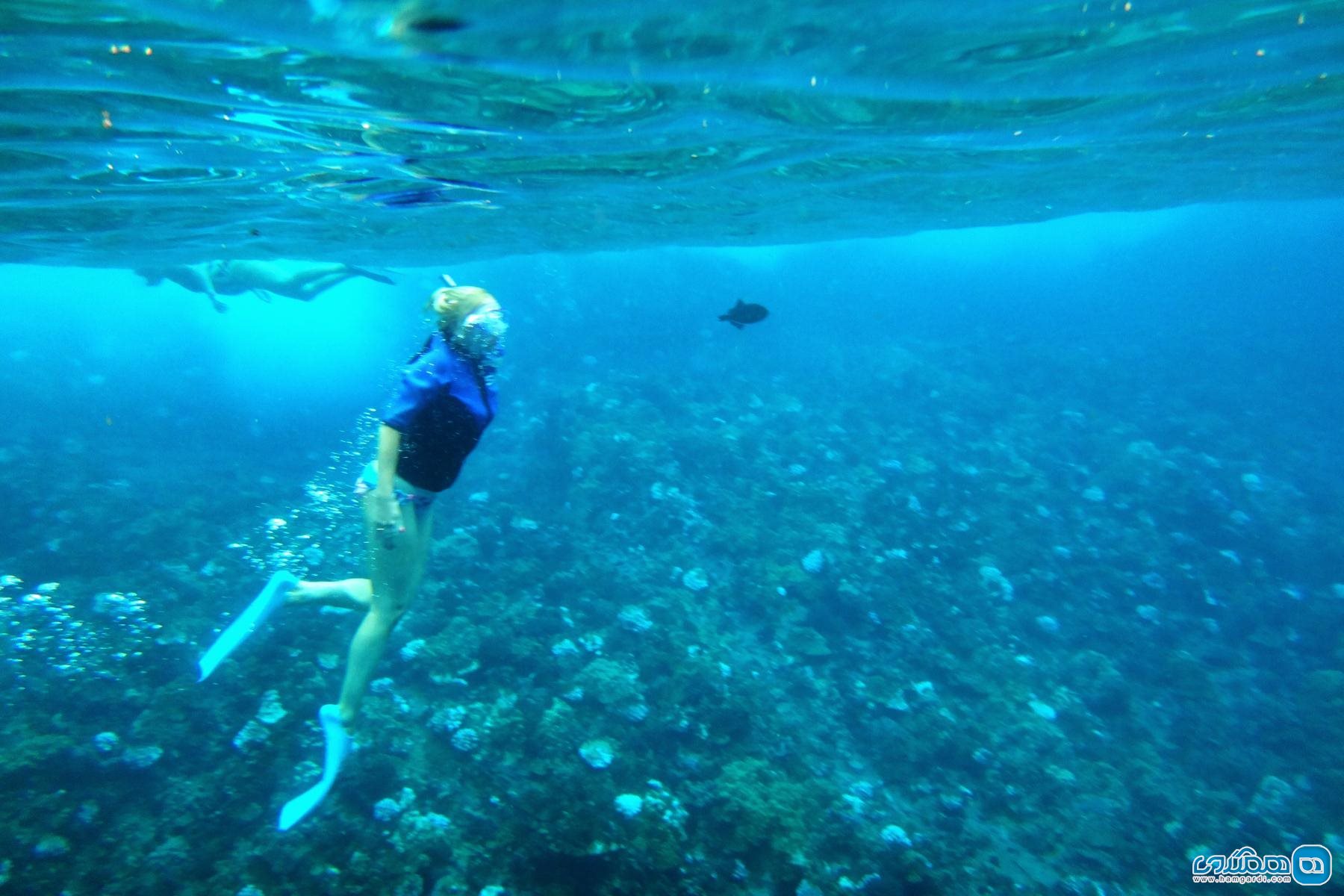 دماغه Molokini