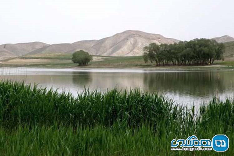 درباره این کارت پستال زیبای طبیعی