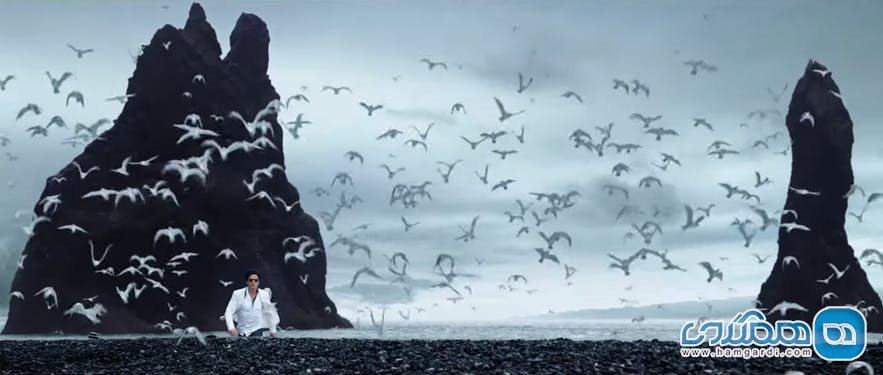 دویدن در میان پرندگان بومی ایسلند