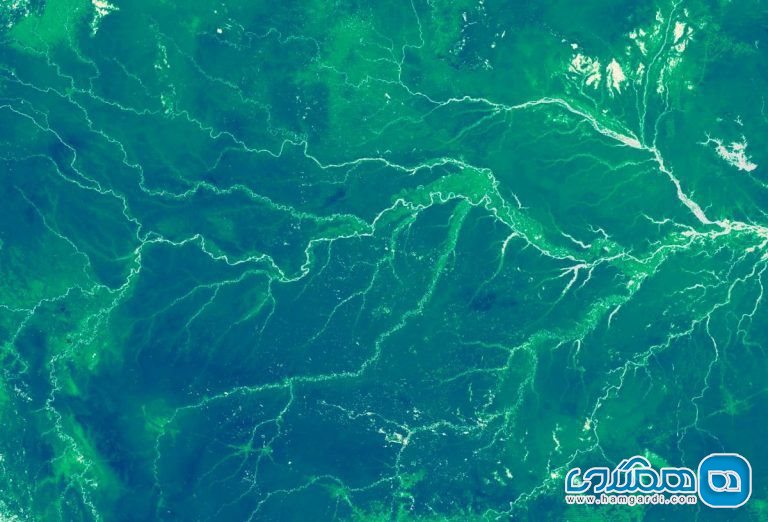تصویری از آمازون، از فضا .. سفر با کوله پشتی به آمازون Amazon