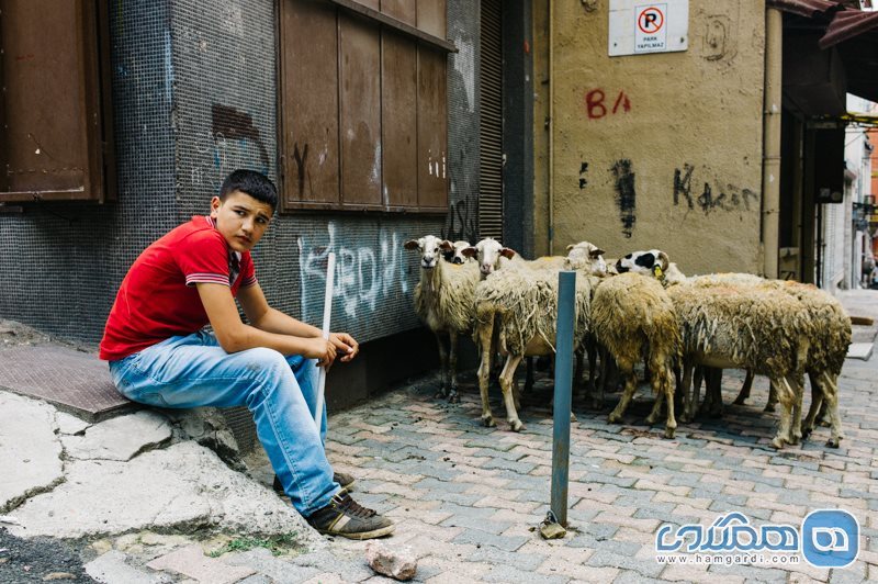 دانستنی هایی از شهر استانبول برای اقامت در استانبول