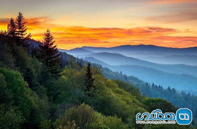 پارک ملی گریت اسموکی مونتینز (Great Smoky Mountains National Park)