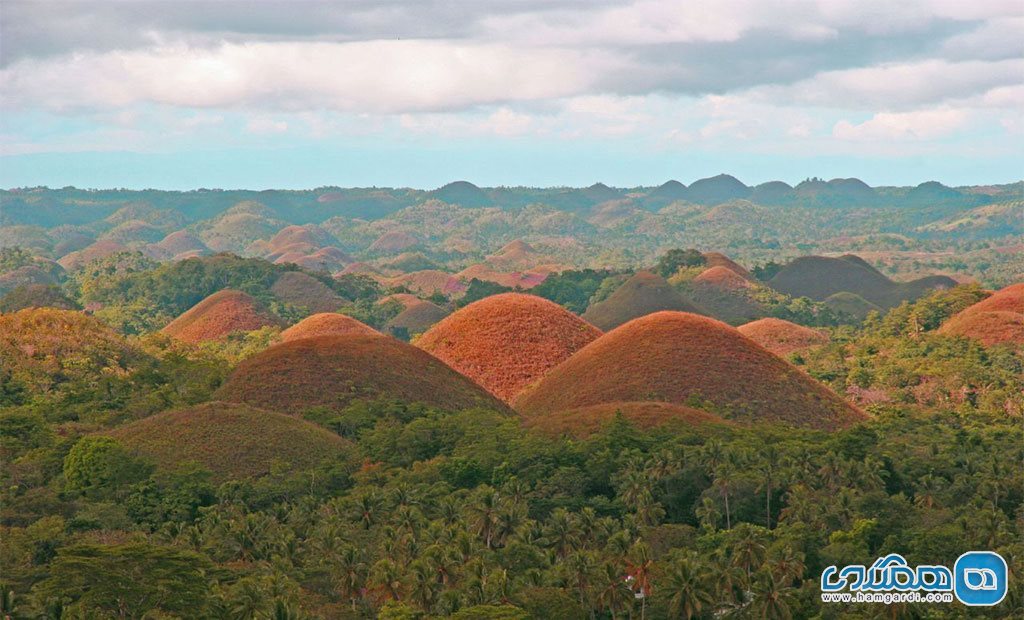 تپه های افسانه ای، بوهول (Bohol)، فیلیپین