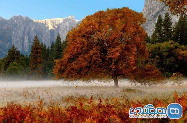 پارک ملی یوسمایت Yosemite National Park