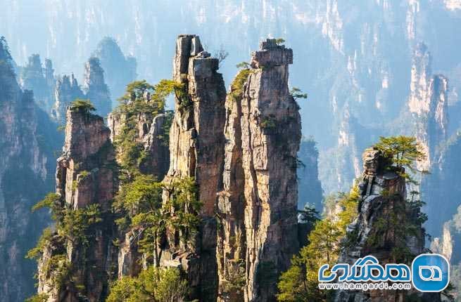 پارک جنگلی ملی ژانگ جیاجی Zhangjiajie National Forest Park