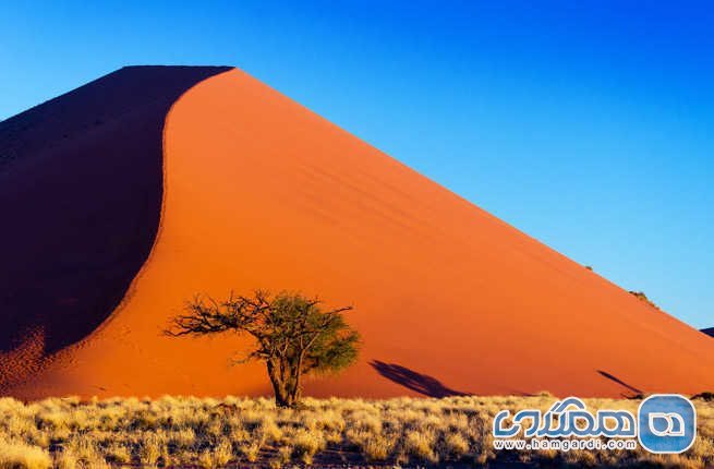پارک ملی نامیب ناکلوفت Namib-Naukluft National Park