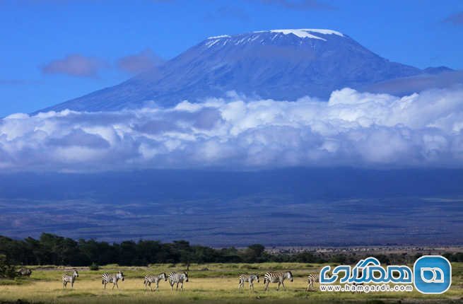 پارک ملی کلیمانجارو Kilimanjaro National Park