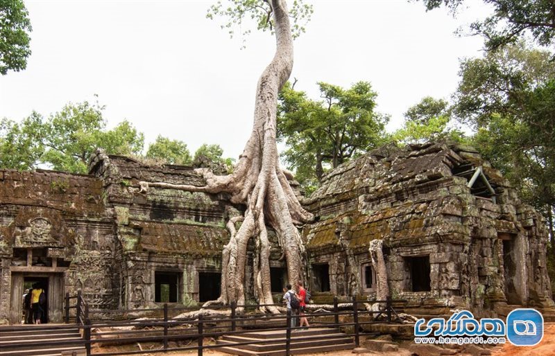 معبد افسانه ای Ta Prohm در سم ریپ کامبوج