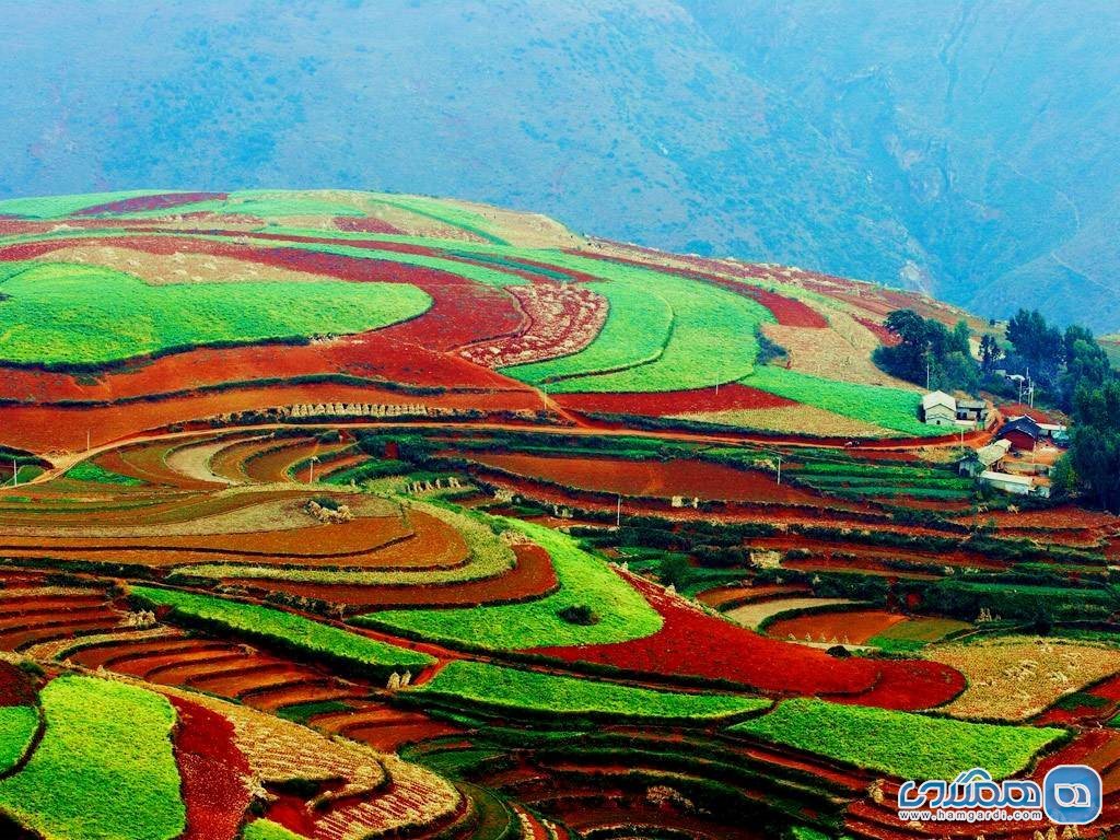 منطقه دونگ چوآن رد لند (dongchuan red land) در چین