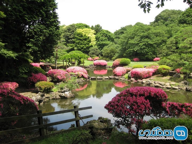  باغ ملی Shinjuku Gyoen National Garden