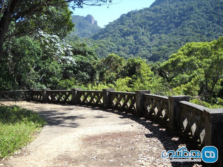 پارک ملی تیجوکا Tijuca National Park