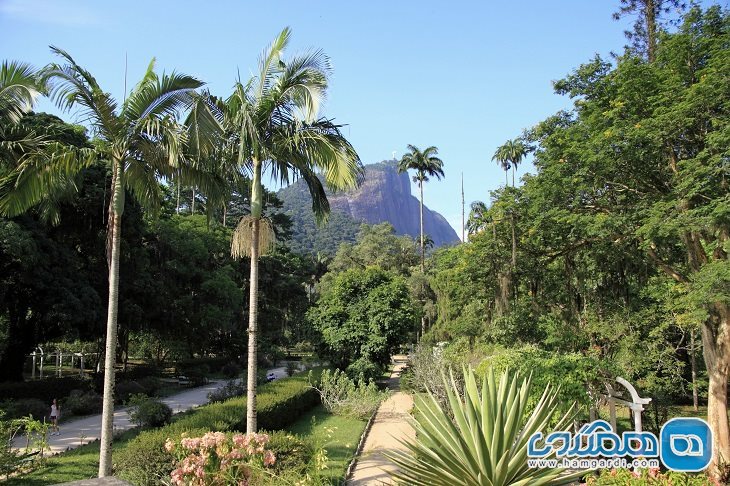 باغ گیاه شناسی ریو دو ژانیرو Rio de Janeiro Botanical Garden